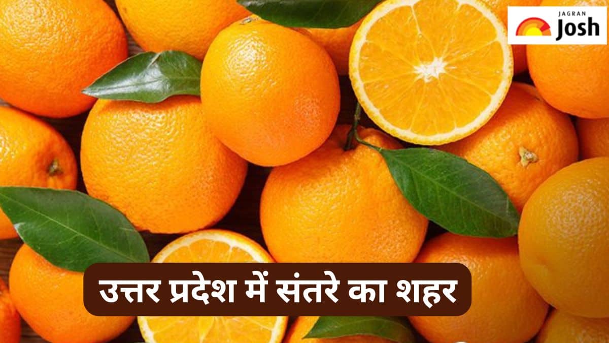उत्तर प्रदेश में कौन-सा जिला है संतरे का शहर, जानें 
