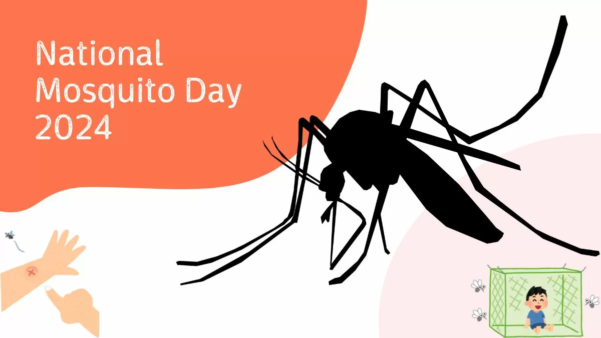 All About National Mosquito Day 2024