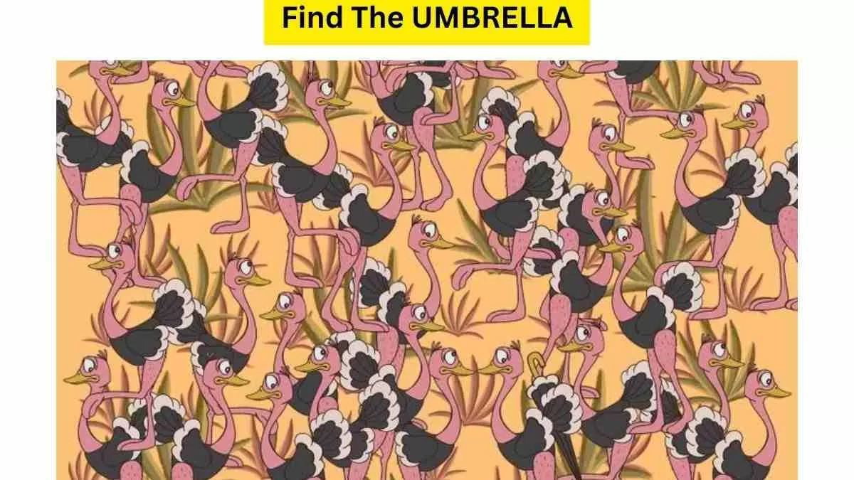 Spot The Umbrella In The Picture!