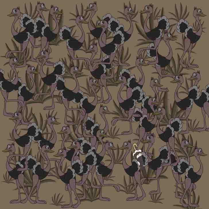 the umbrella is here