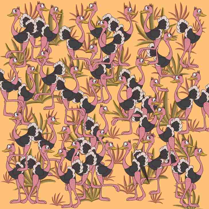 where is the umbrella 