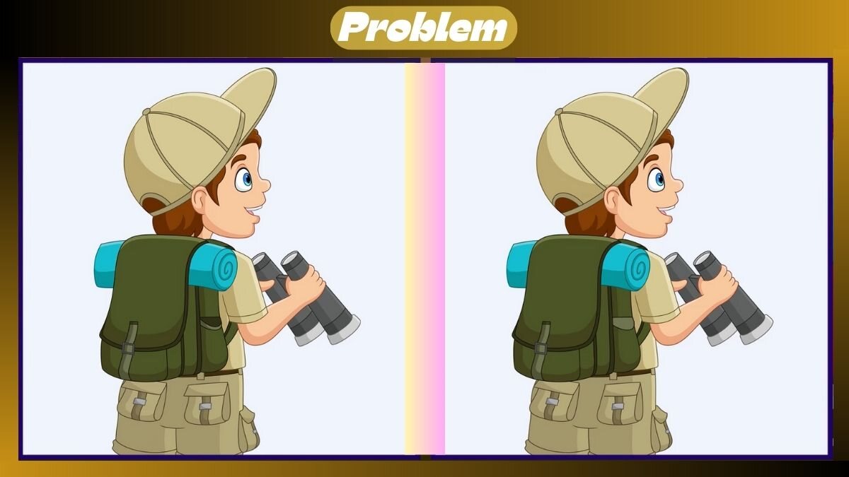 Find 3 Differences In 27 Seconds In This Bird Watching Scene