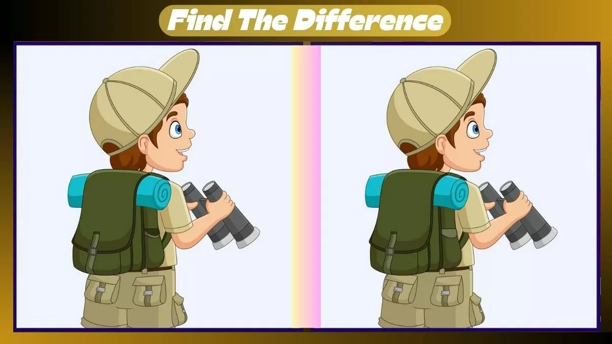 Find 3 Differences In 27 Seconds In This Bird Watching Scene