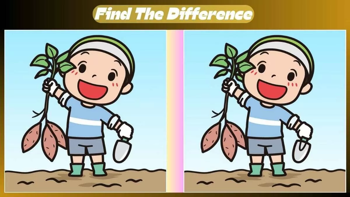 Find 3 Differences In 26 Seconds In This Farming Scene