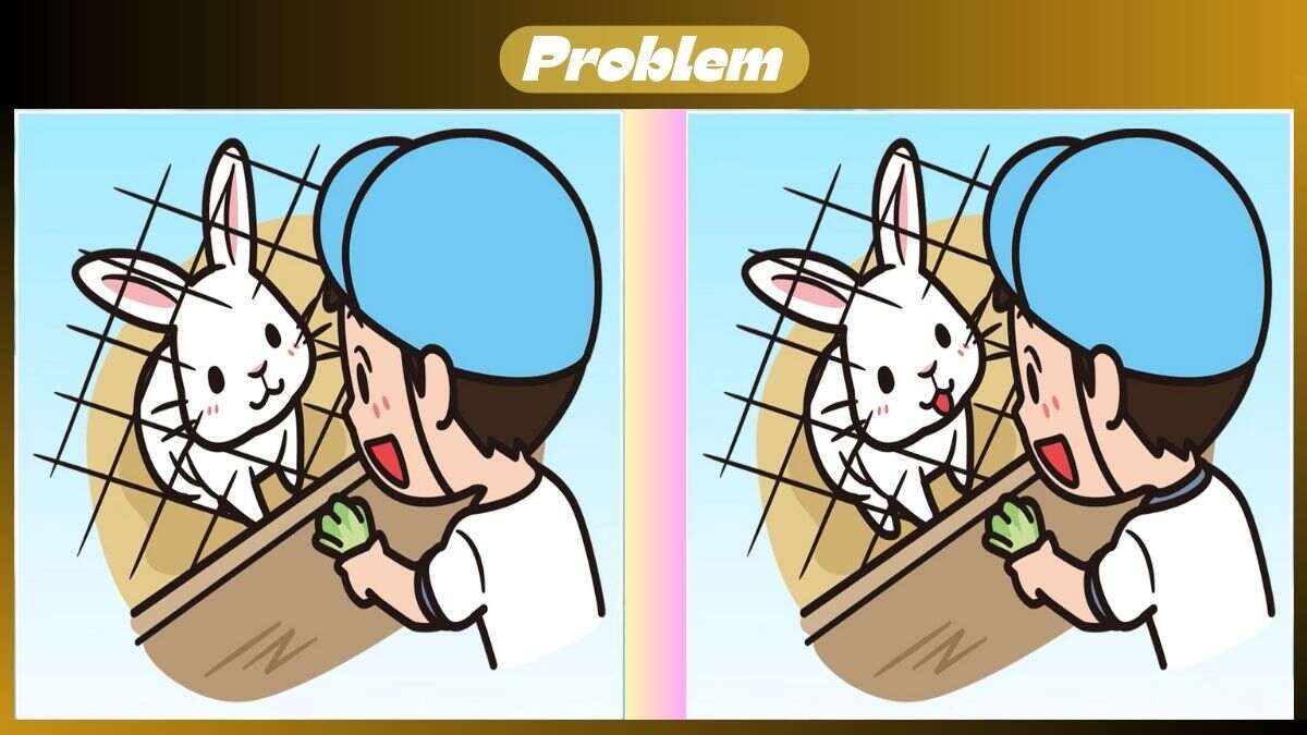 Find 3 Differences In 28 Seconds In This Cute Bunny Scene