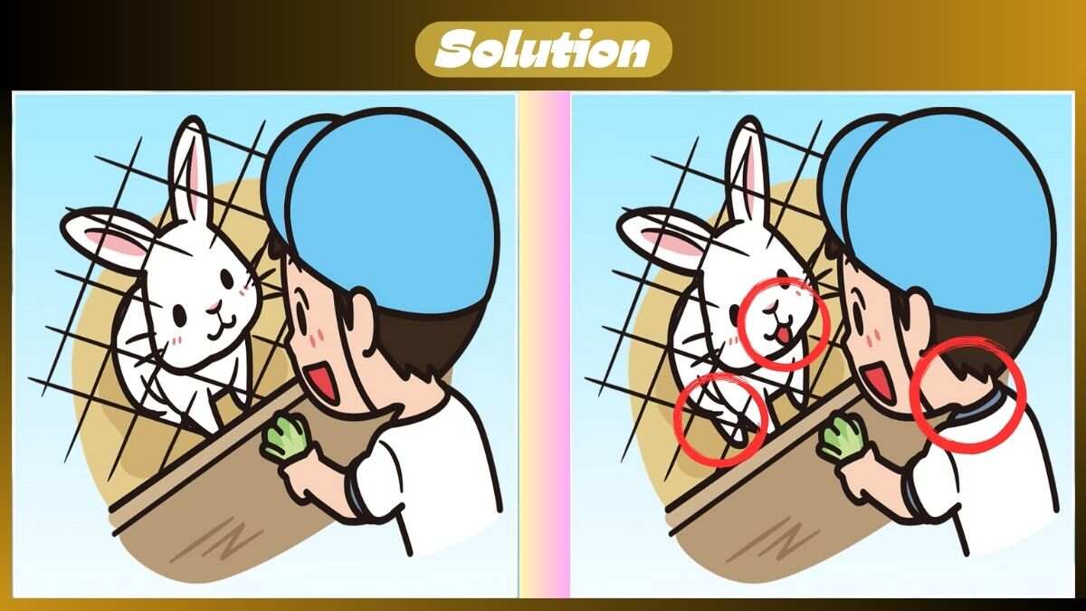 Find 3 Differences In 28 Seconds In This Cute Bunny Scene
