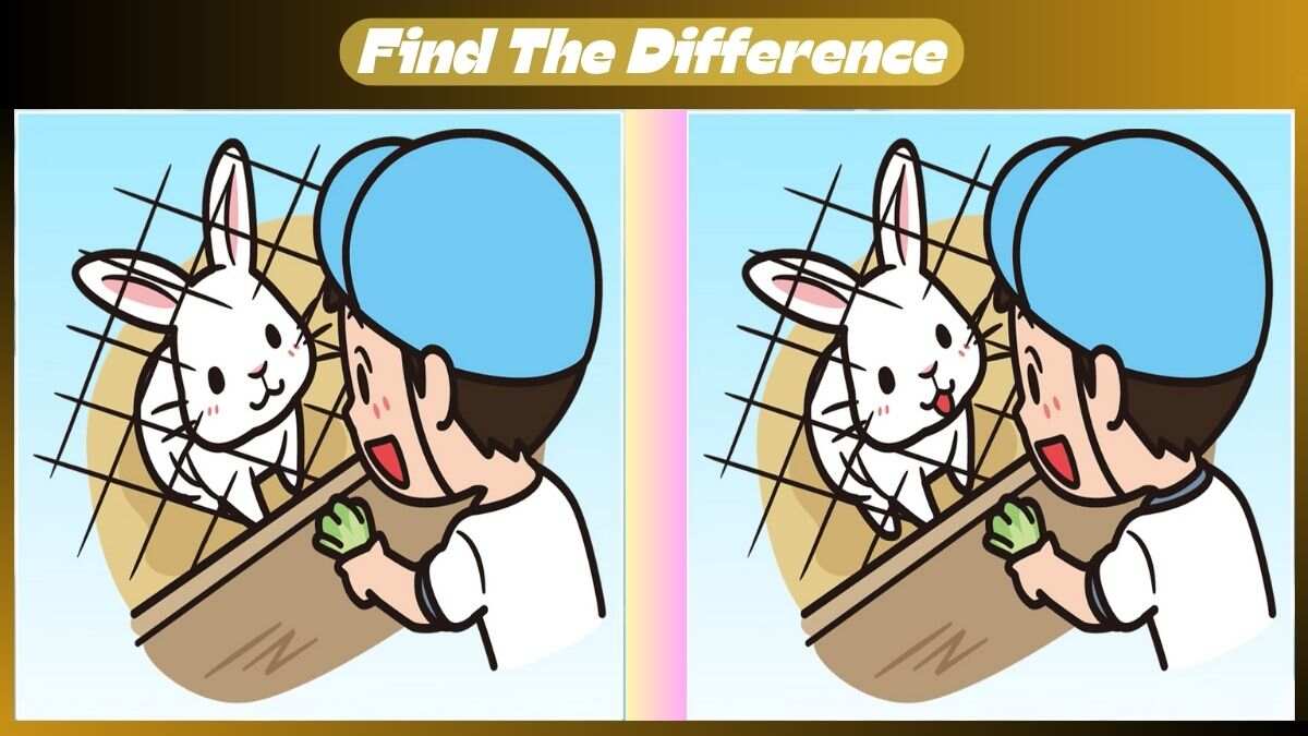 Find 3 Differences In 28 Seconds In This Cute Bunny Scene