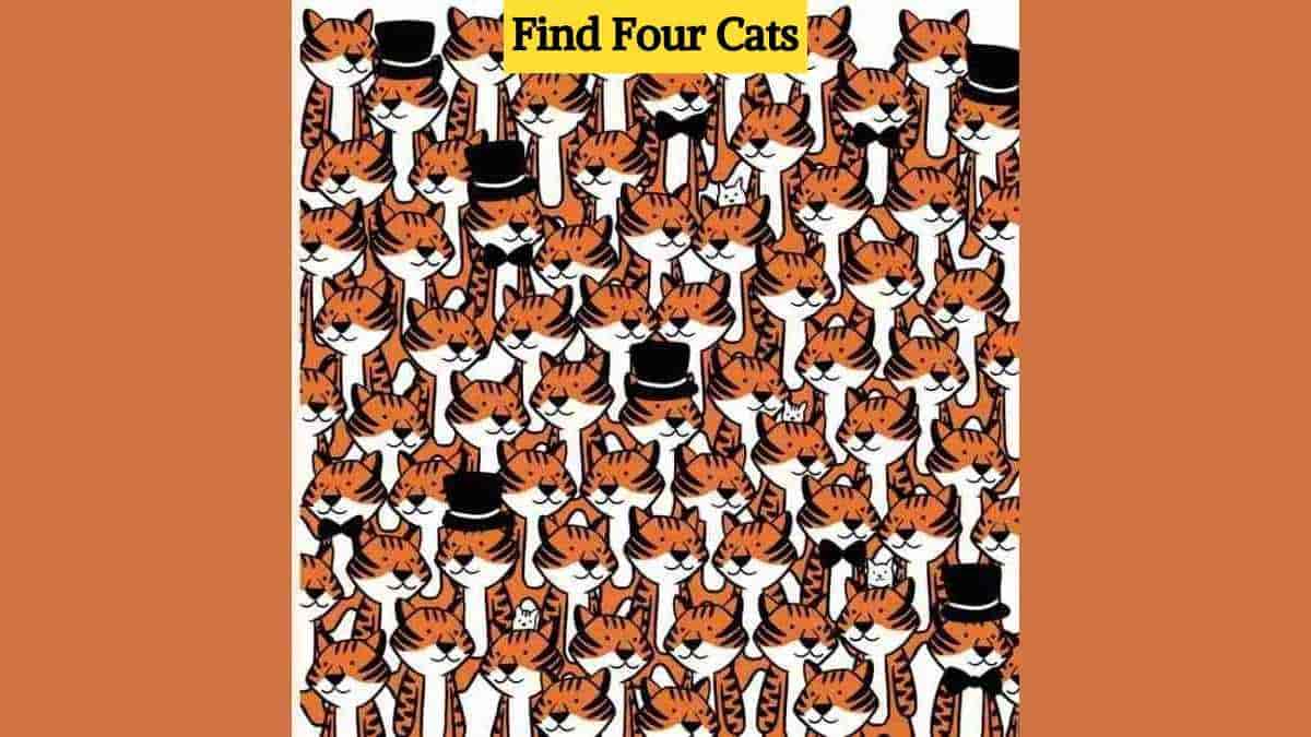You are a champion if you can find four cats hiding among the tigers in 11 seconds!