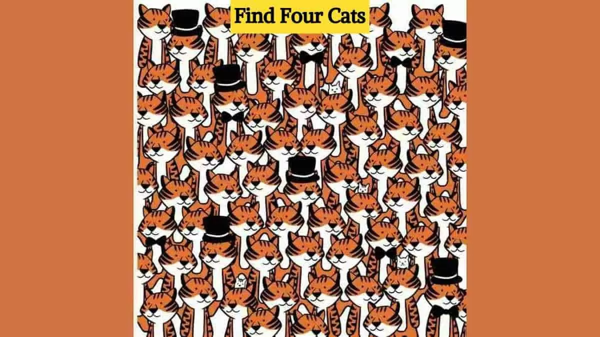 Find four hidden cats