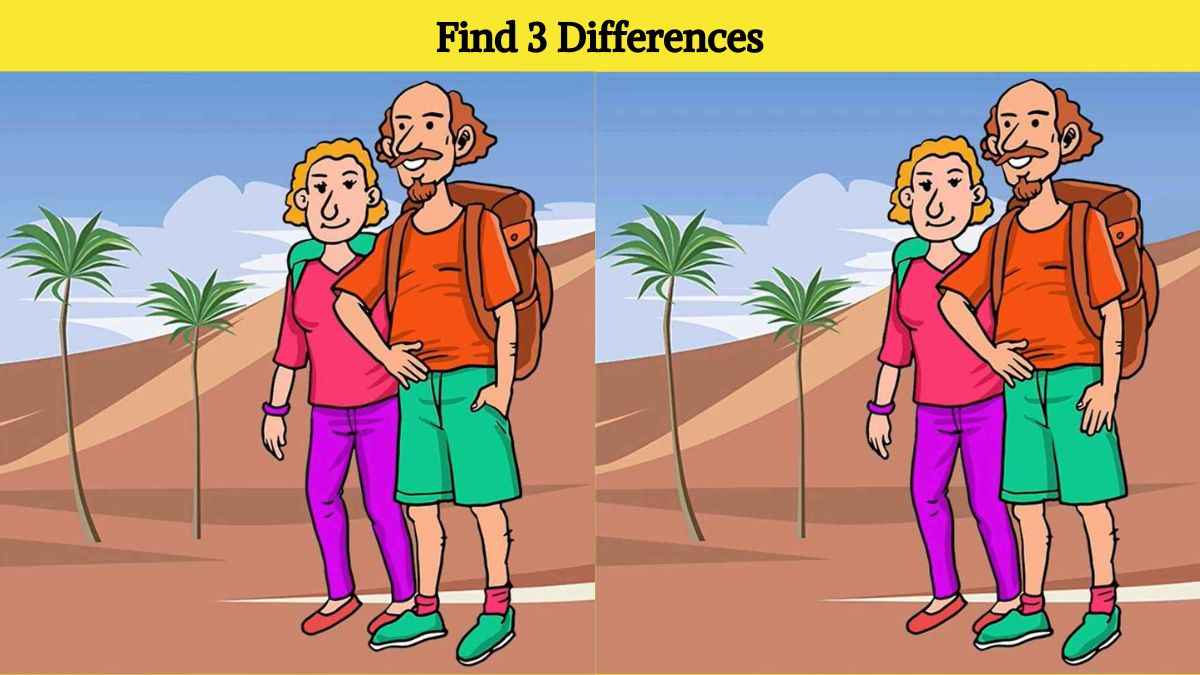 Find 3 differences between the couple in desert pictures in 12 seconds!
