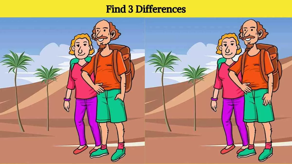 Find 3 differences in 12 seconds