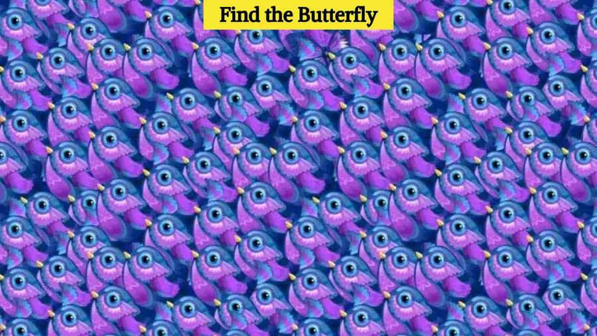 Optical Illusion Vision Test: Find the butterfly among birds in 6 seconds!