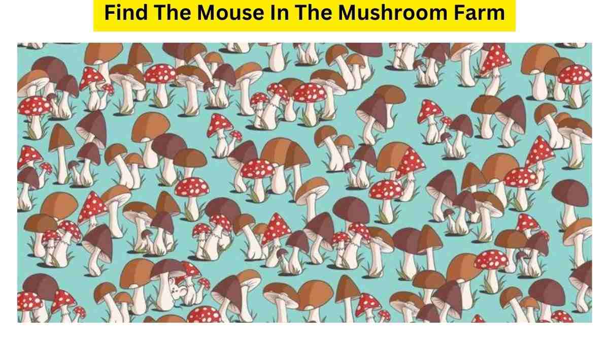 Save The Mushroom Farm From The Naughty Mouse In 7 Seconds. Timer is On!