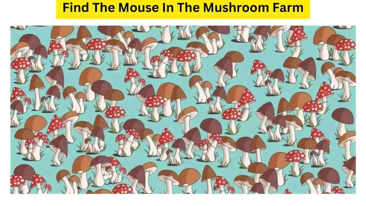 Where is the Mouse?