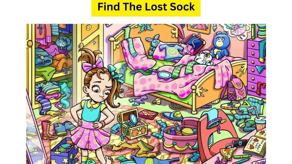 Spot The Lost Sock In The Messy Room!