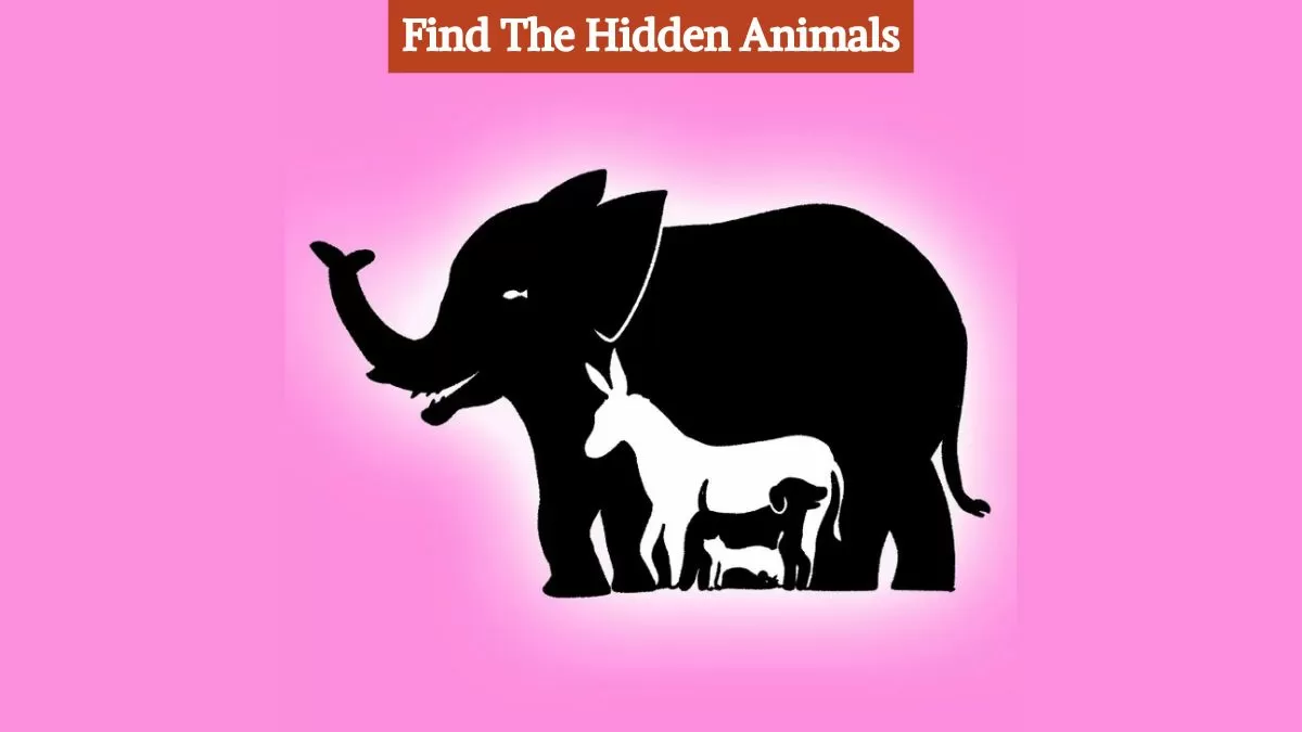 Find the hidden animals