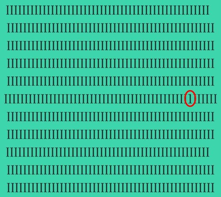 optical illusion hidden objects with answers