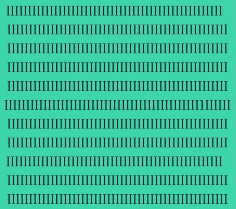 optical illusion hidden objects with answers