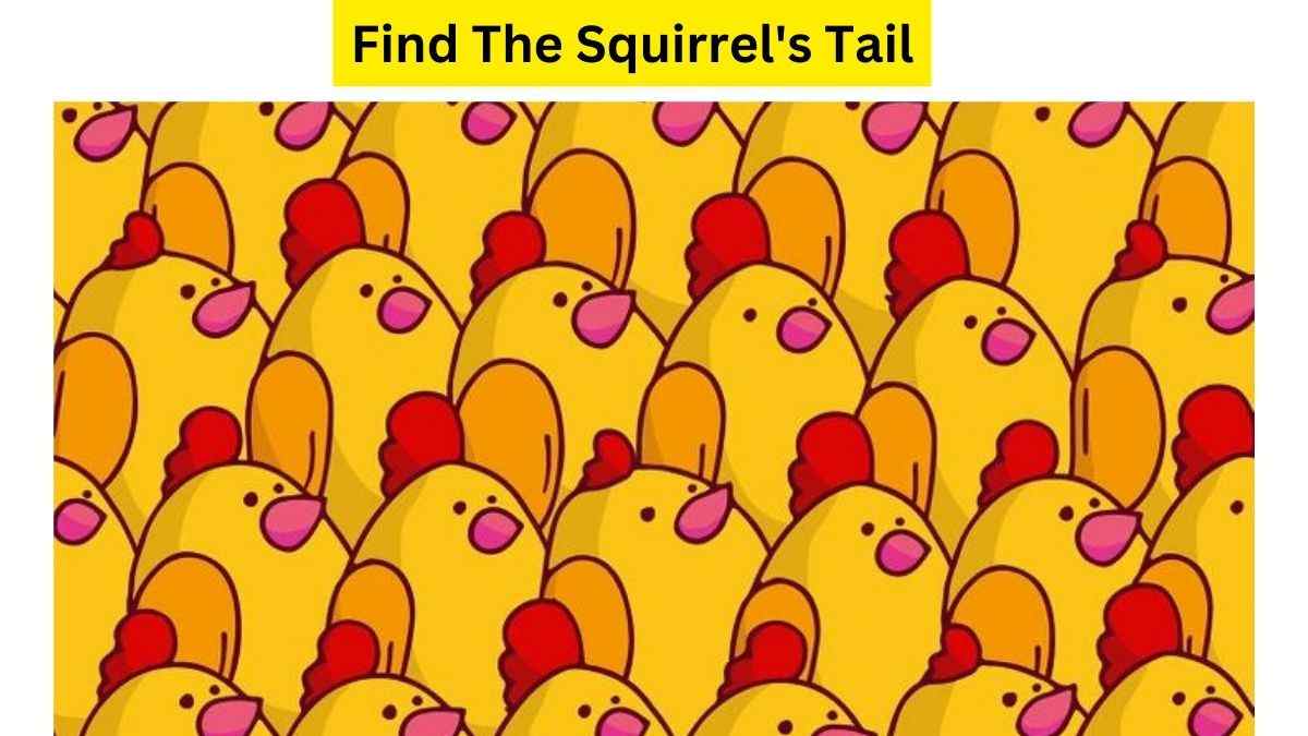 Vision IQ Test: Can You Find The Squirrel’s Tail Hidden In This Brood ...