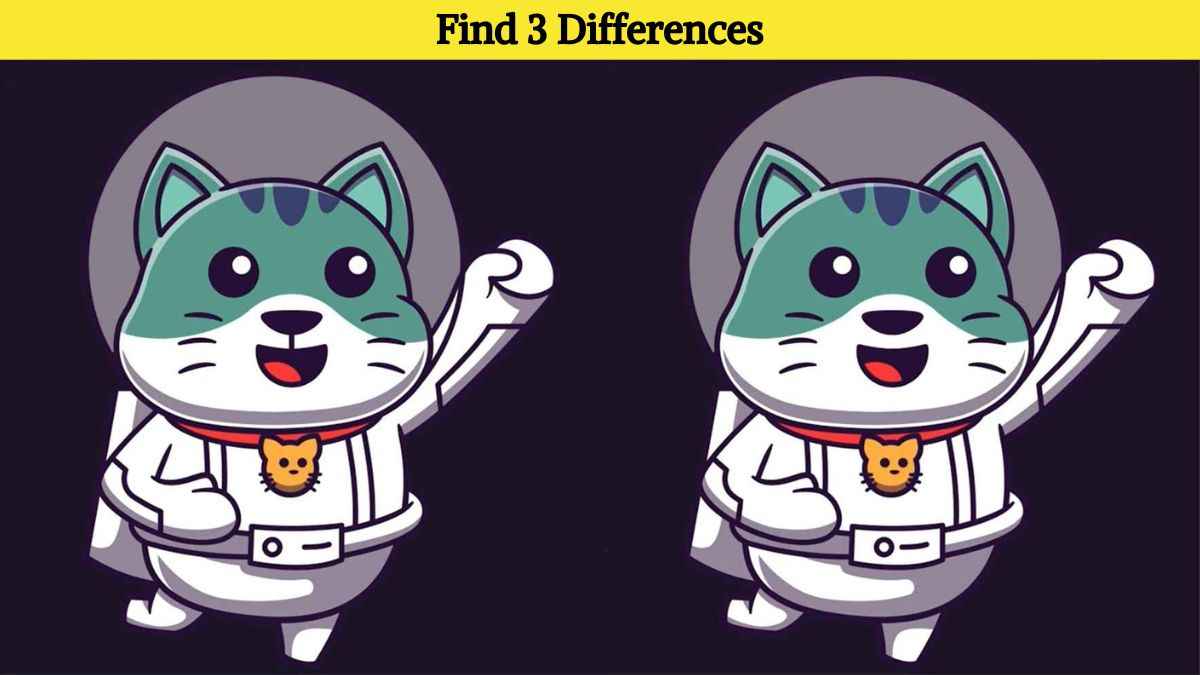 Find 3 differences between the cat pictures in 10 seconds!
