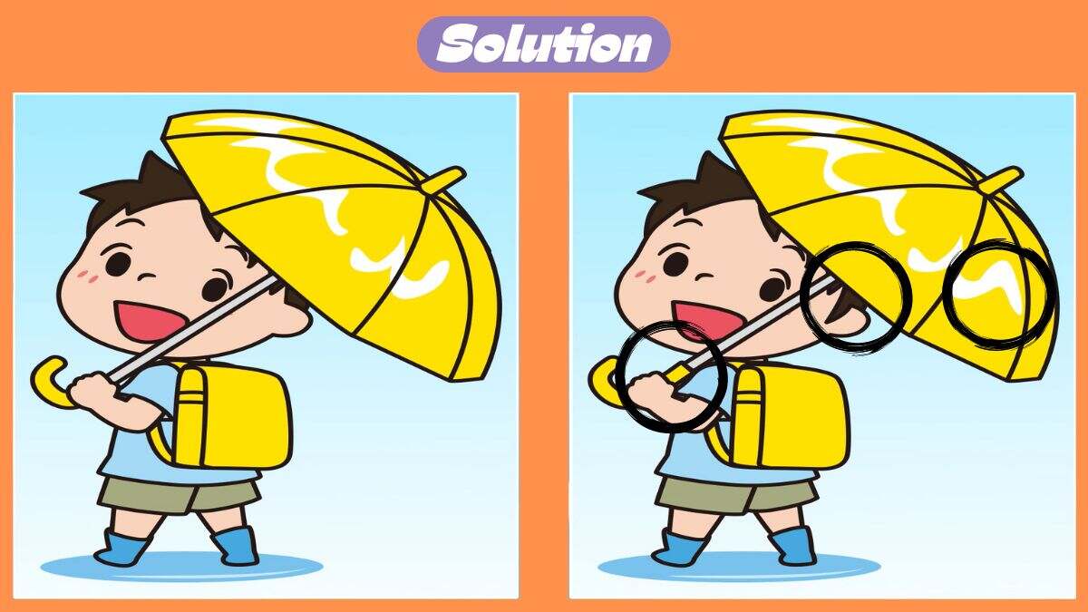 Find 3 Differences In 32 Seconds In This Family Outing Scene