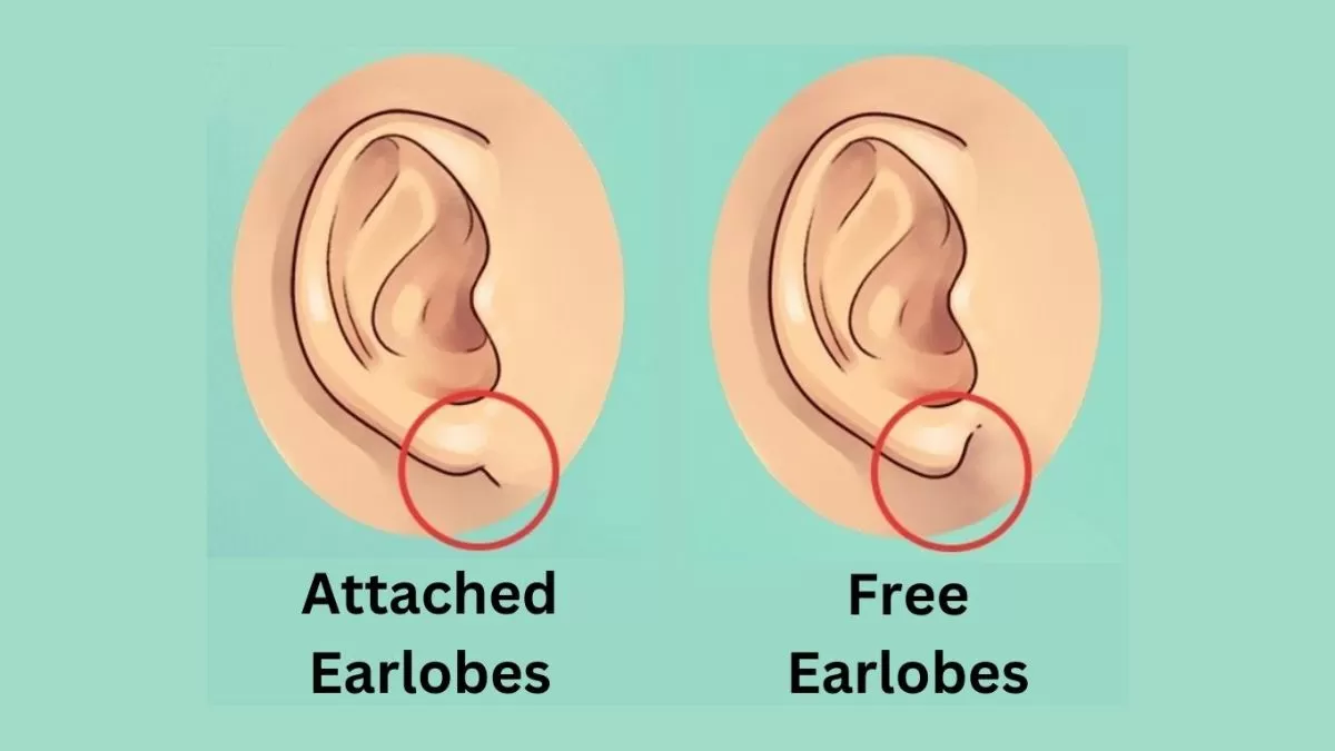 Earlobes Personality Test
