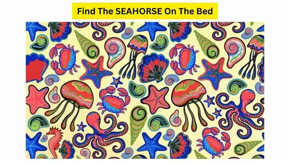 Spot The Seahorse In The Picture!