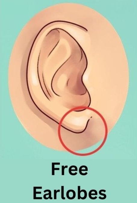 Free Hanging Earlobes Personality Traits