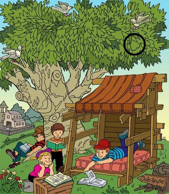 hidden objects picture puzzles with answers
