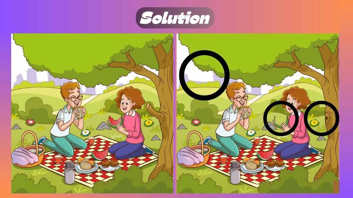 Find 3 Differences In 21 Seconds In Excursion Scene