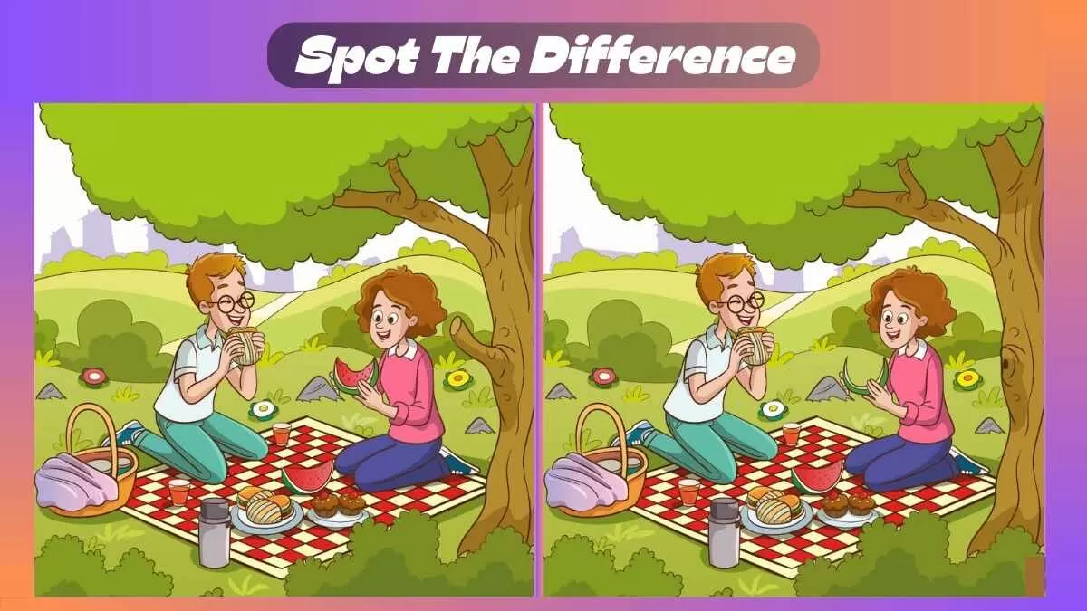 Find 3 Differences In 21 Seconds In Excursion Scene