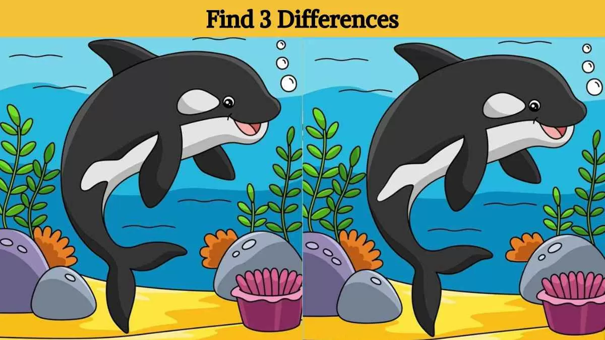 Find 3 differences in 19 seconds