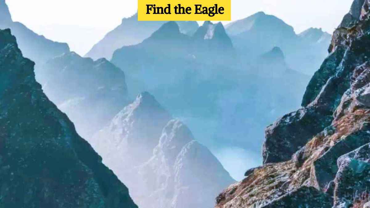 Seek and Find: Can you find the eagle in the mountains in 6 seconds?