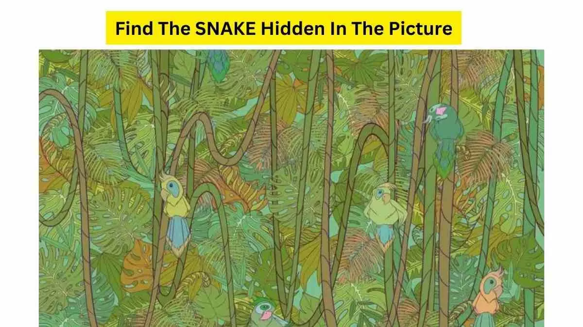 Spot The Snake Hidden In The Forest