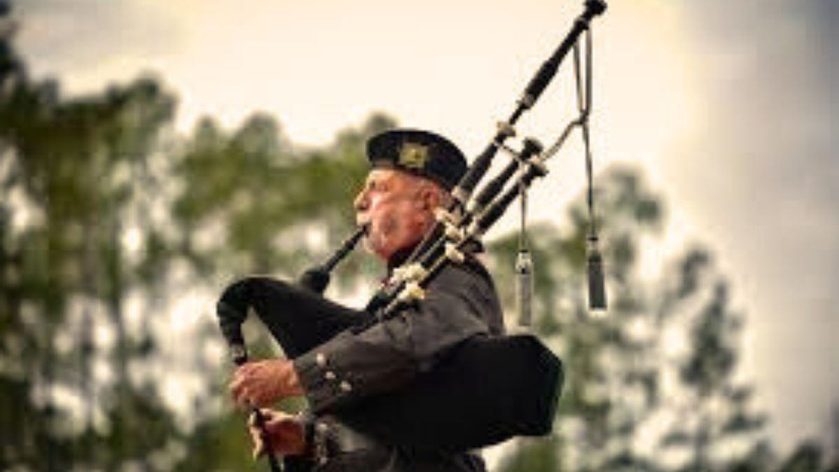 In love with music? Take a look at the list of traditional musical instruments of the world