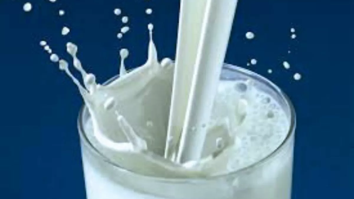 Bird Flu virus from Milk: Is milk safe?
