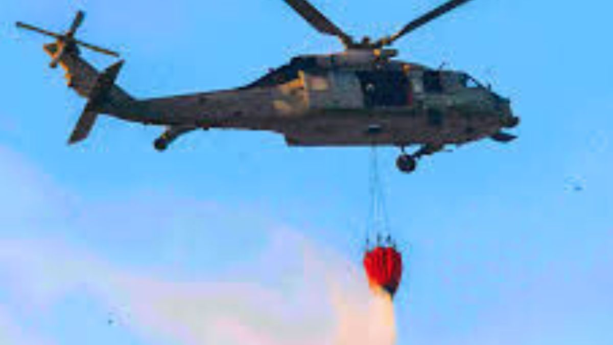 Nainital Forest Fires: What exactly is a Bambi bucket?