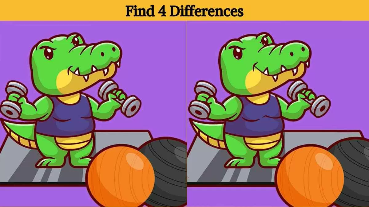 Find 4 differences in 11 seconds