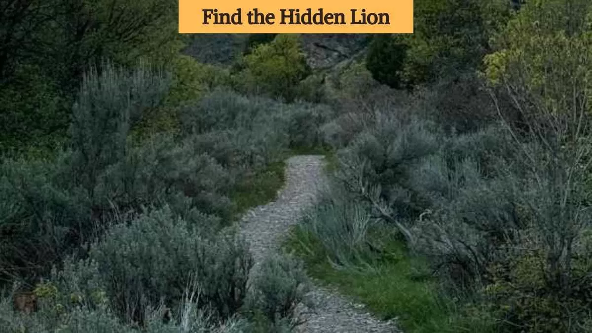 Find the hidden lion