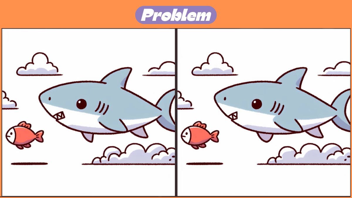 Find 3 Differences In 34 Seconds In The Flying Shark Scene