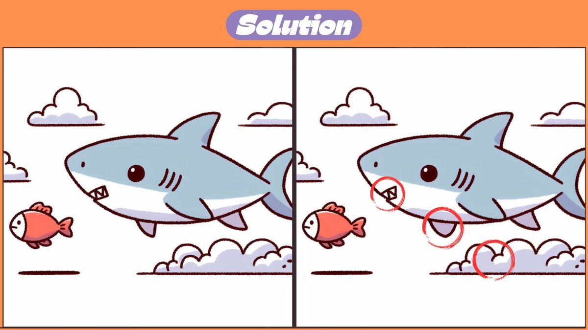 Find 3 Differences In 34 Seconds In The Flying Shark Scene