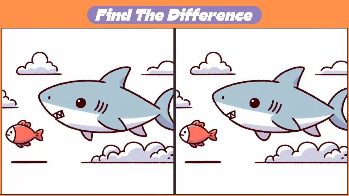 Find 3 Differences In 34 Seconds In The Flying Shark Scene