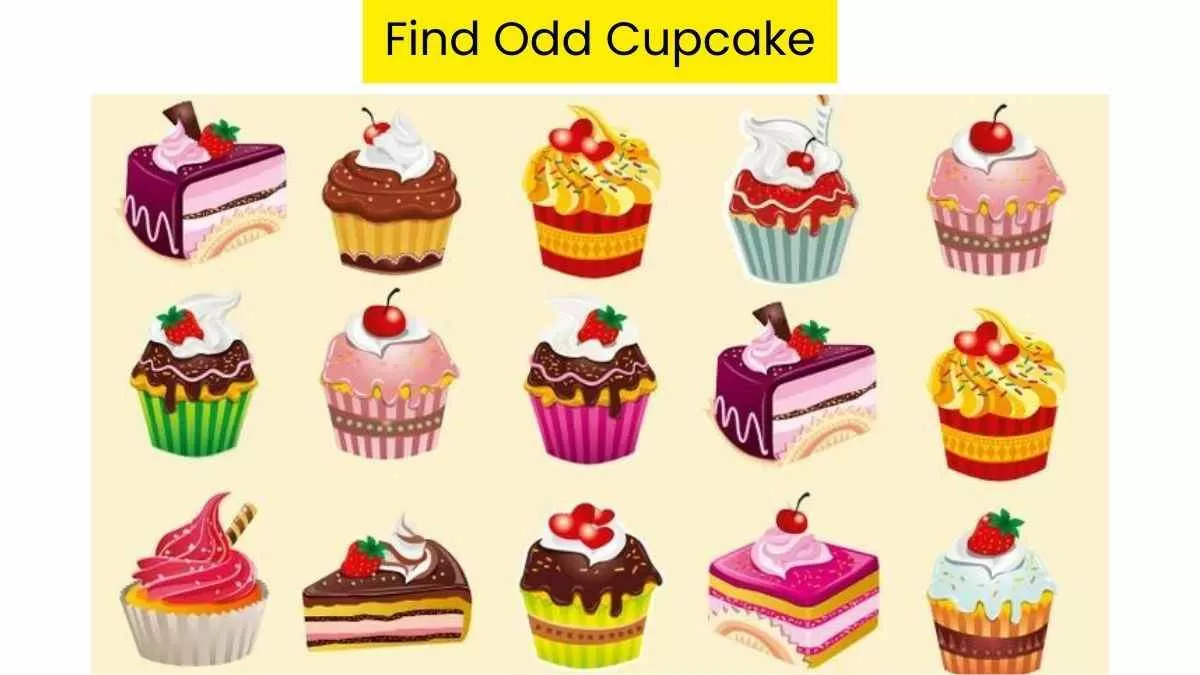 Spot The Cupcake Hidden In The Picture!
