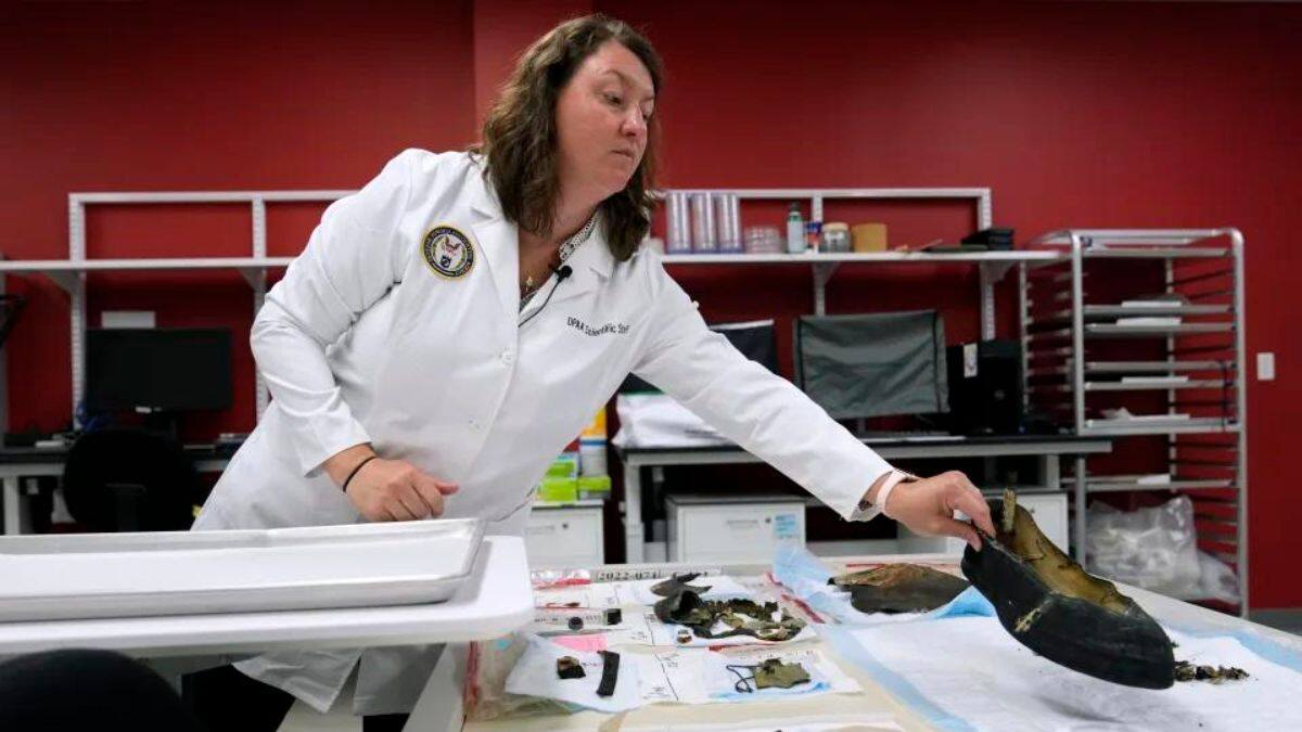 Memorial Day 2024: Cutting-Edge Technology Identifies WWII Service Members