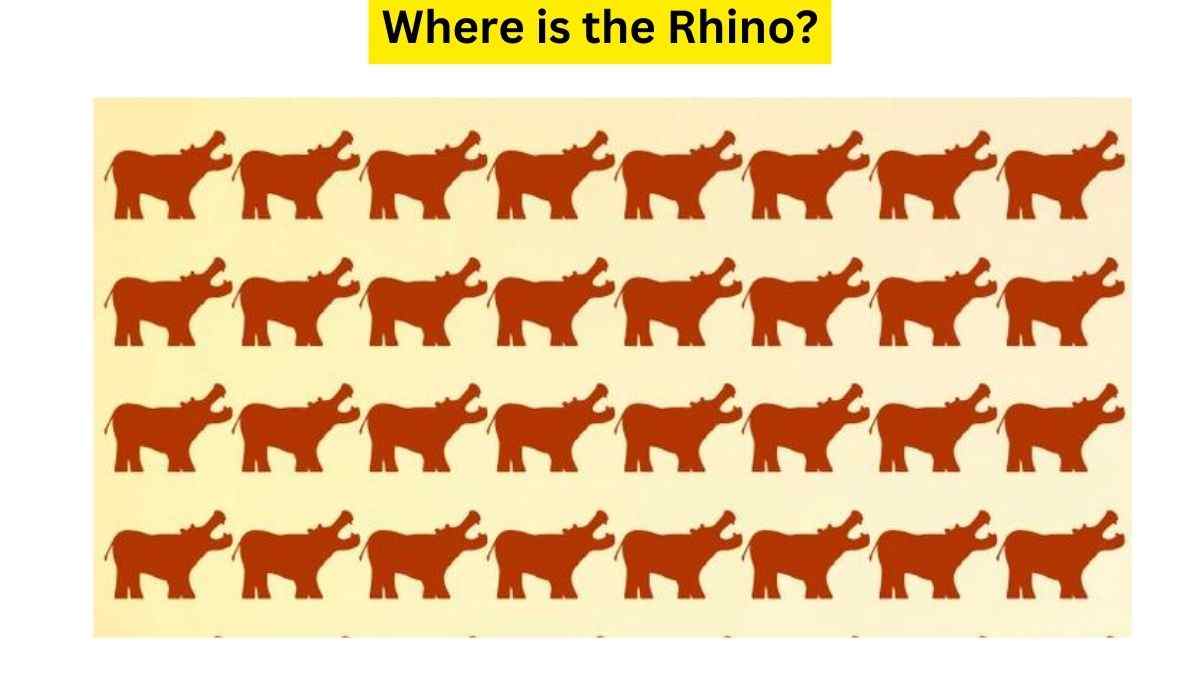 How Fast You Can Find The Rhino Among Hippos Hidden In This Brain ...