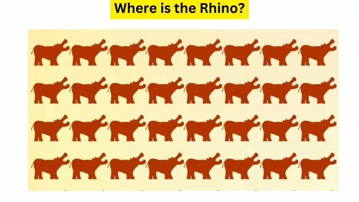 Spot The Rhino Among Hippos!