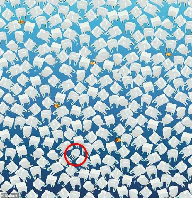 hidden objects picture puzzles with answers