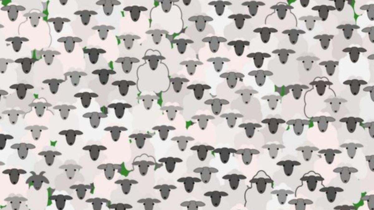 Optical Illusion IQ Test: Can You Find The Goat Among These Sheep In 8 Seconds?