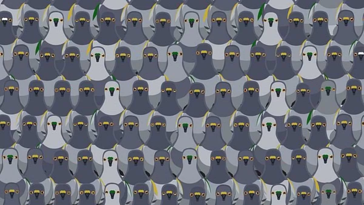 Spot The Cat Among Pigeons.
