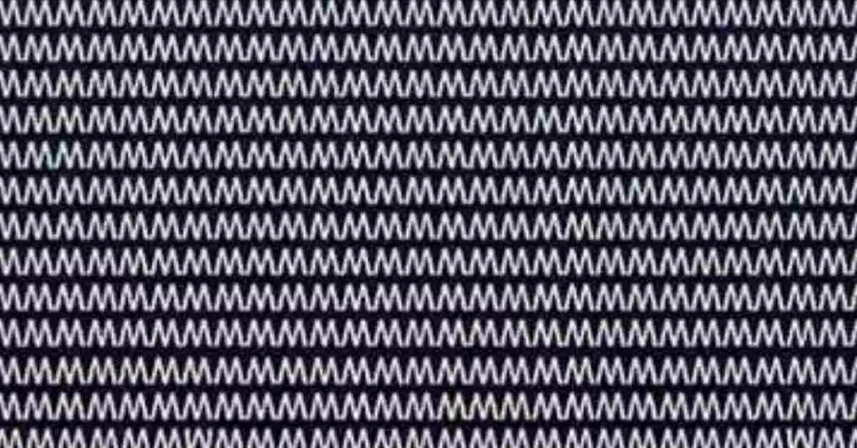 Find the Hidden Letter W 